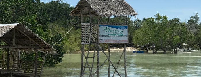 Pristine Palawan Beach is one of Puerta Princessa.