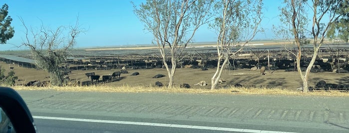 Harris Ranch Cattle Yards is one of stuff to fix.