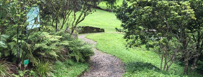 Harold L. Lyon Arboretum is one of Oahu.