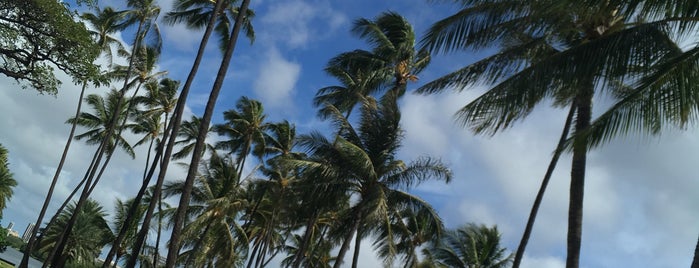 Waikiki-Kapahulu Public Library is one of Ryan : понравившиеся места.