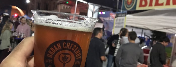 Oktoberfest Urban Chestnut is one of Tempat yang Disukai Doug.