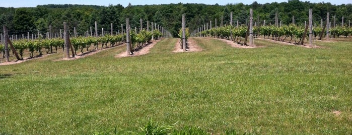 Silver Leaf Vineyard and Winery is one of eatdrinkTC.