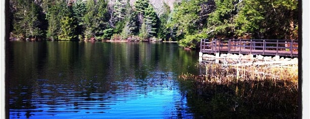 Bigelow Hollow State Park is one of Lieux sauvegardés par Candice.