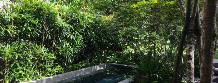 ESPA Spa Wellness Sanctuary is one of Micheenli Guide: Spa Havens in Singapore.