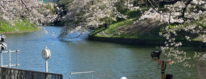 千鳥ヶ淵ボート場 is one of 公園.