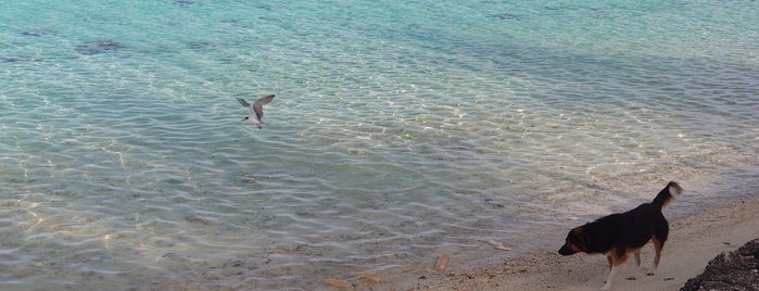 Matira Beach is one of Tempat yang Disukai Chris.