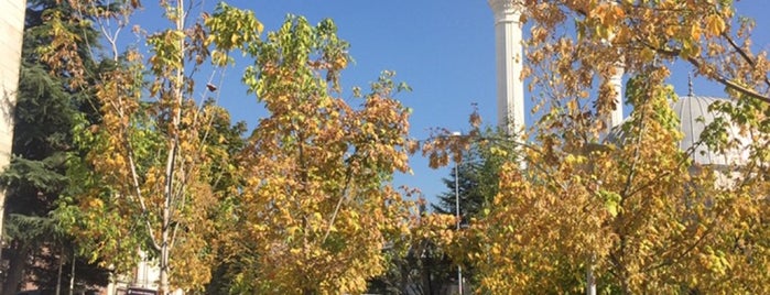 Gersan Camii is one of Yunus'un Beğendiği Mekanlar.