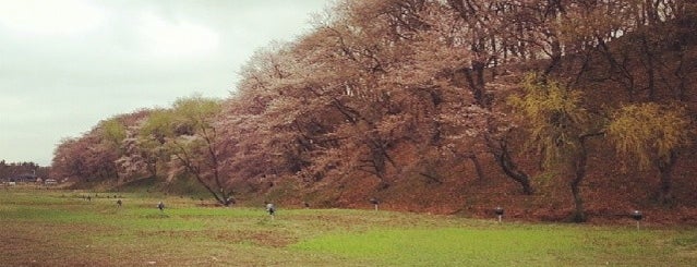 반월성 is one of 경주 / 慶州 / Gyeongju.