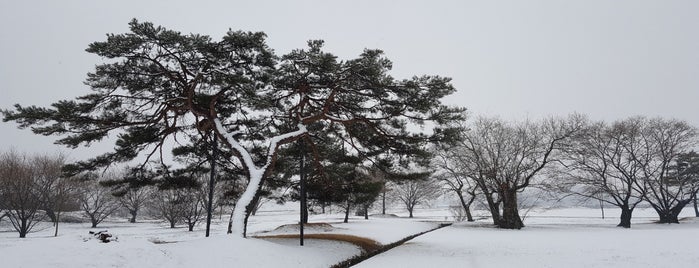 신라 진평왕릉 is one of 고분 古墳 Korean Acient Tombs.