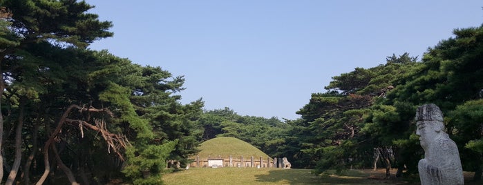 흥덕왕릉 is one of 고분 古墳 Korean Acient Tombs.