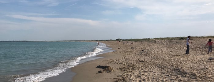 Плаж Дуранкулак (Durankulak Beach) is one of Северно Черноморие.