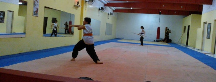 Tat Wong Kung Fu Academy is one of Cartão Afinidade Club.