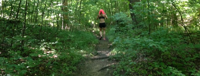 Kittatinny Valley State Park is one of Claudia’s Liked Places.