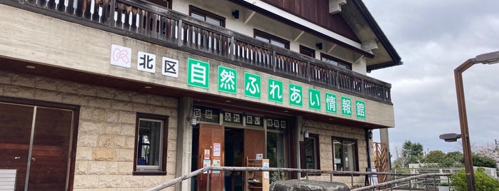 自然ふれあい情報館 is one of 博物館(23区)西側.