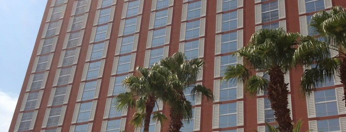 Treasure Island - TI Hotel & Casino is one of Vegas Party Stops (Top Ten).