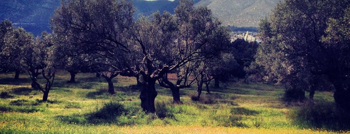 Λόφος Κάντζα is one of Lugares favoritos de Victoria S ⚅.