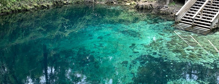Madison Blue Springs is one of Things to do in or near Valdosta, GA.