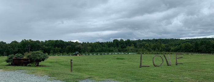 Wineworks/Michael Shaps Wines is one of Charlottesville Wine Tour.