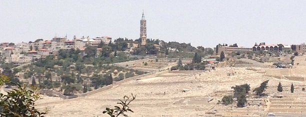 Mount Zion is one of mr.void in jerusalem.