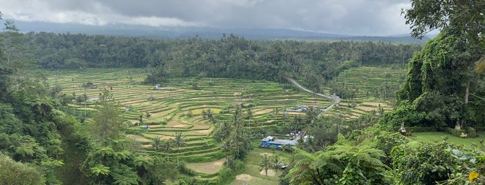 Mahagiri,panoramic resort and restaurant is one of Bali.