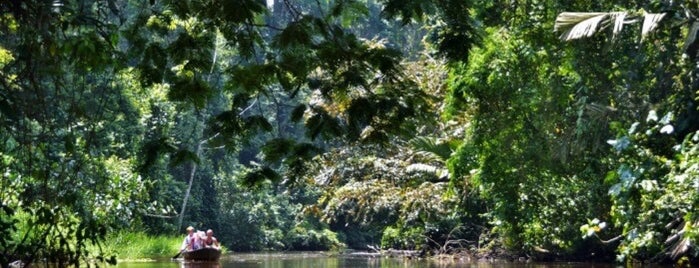 In the Middle of the God Damned Rain Forest! is one of สถานที่ที่บันทึกไว้ของ Kimmie.