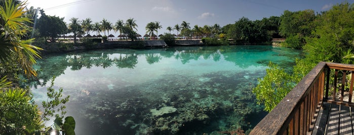 Laguna Chankanab is one of Tempat yang Disukai @im_ross.