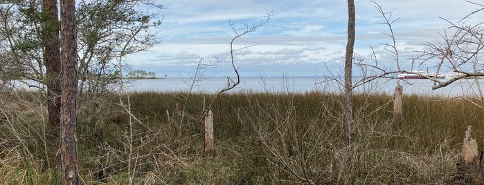 Jolee Island is one of Tempat yang Disukai Byron.