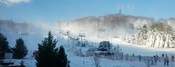 Bear Creek Mountain Resort and Conference Center is one of F-Factorさんの保存済みスポット.