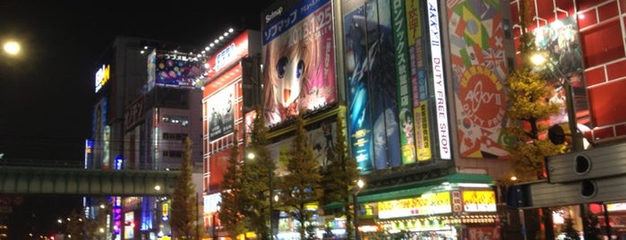 Akihabara Electric Town is one of Places for geeks.