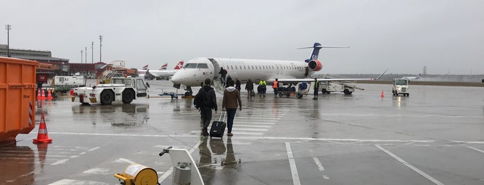 SAS Scandinavian Airlines Flight SK 2678 is one of Airport Flights.