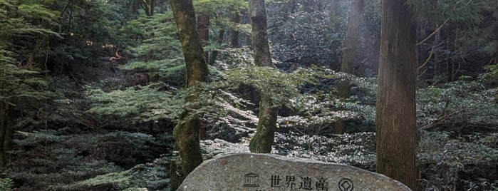 春日山原始林 is one of Japan — elsewhere.