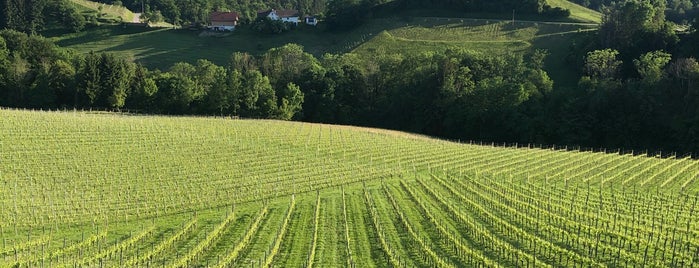 Weingut Fellner is one of Glanzer Weintour.