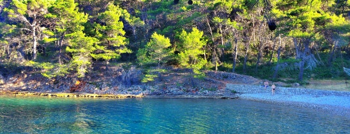 Uvala opaticina is one of Dugi otok beaches and coves.