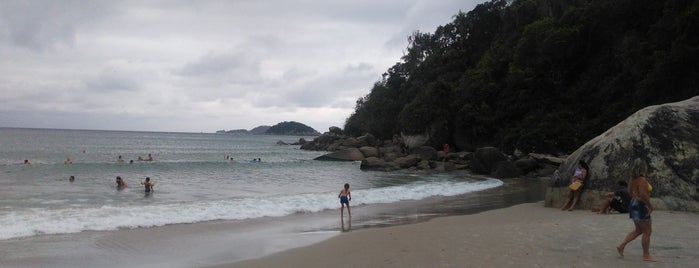 Praia do Molhe is one of Praias de São Francisco do Sul.
