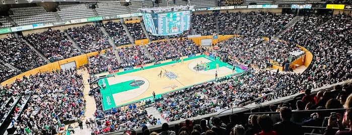 Palau Olímpic de Badalona is one of Basketball Arenas.