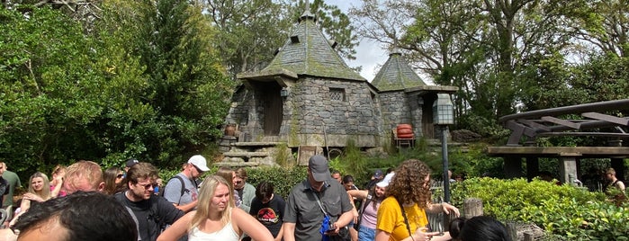 Hagrid's Hut is one of Disney Living.