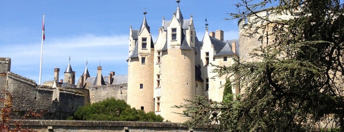 Château de Montreuil-Bellay is one of Loira.