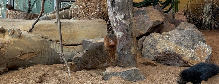 Zoo Vivarium is one of Besuchte Orte.