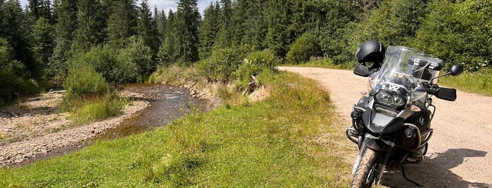 Parcul Natural Apuseni is one of Parcuri Naționale și Naturale.