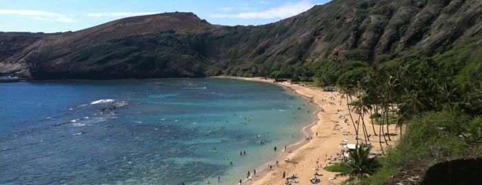 Hanauma Bay Nature Preserve is one of Hawaii's Favorite Spots.