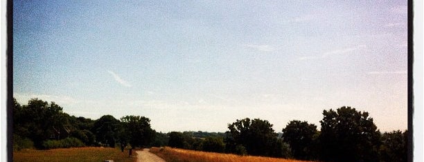 Riddlesdown is one of Natural London.