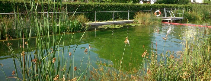 Naturbad Keidenzell is one of Schwimmbad.