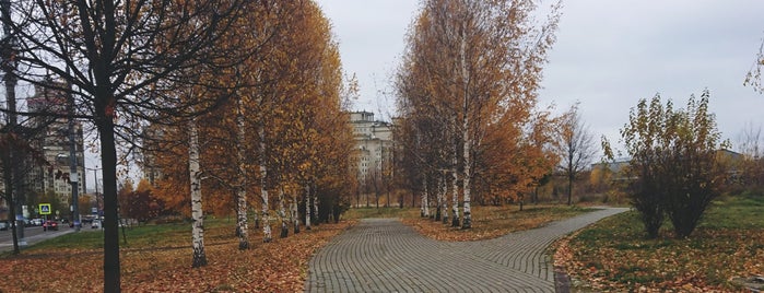 Аллея "Шуваловский" / Shuvalovsky Alley is one of Парки.