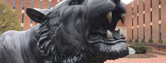 Bronze Tiger is one of Towson University.
