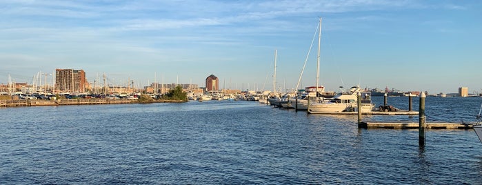 Henderson's Wharf Marina is one of Marinas/Boat Shows.
