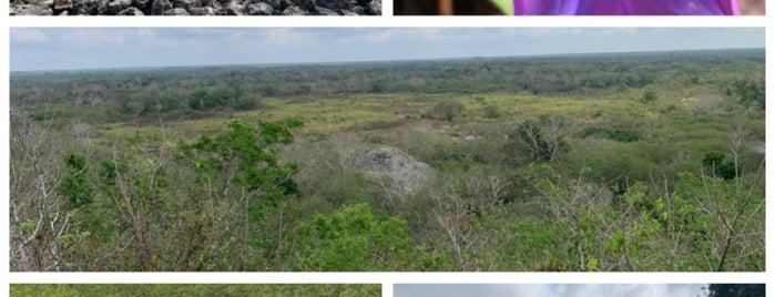 Yaxunah Archaeological Zone is one of Lugares favoritos de Edward.