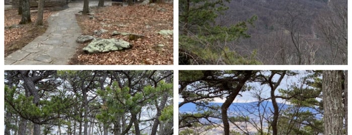 Gambrill State Park is one of Daytime Outdoor Hangout.