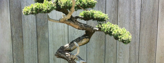 Bonsai Court, Japanese Garden is one of Tempat yang Disukai Michael.