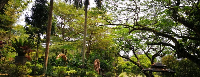 Youth Park Reflexology Garden is one of Locais salvos de ꌅꁲꉣꂑꌚꁴꁲ꒒.