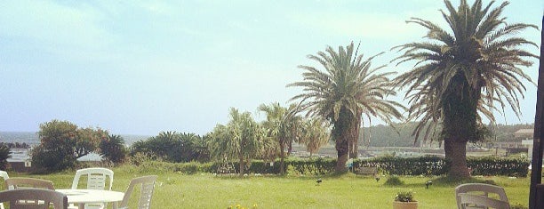 Shirahama Ocean Resort is one of Lugares favoritos de 🍩.